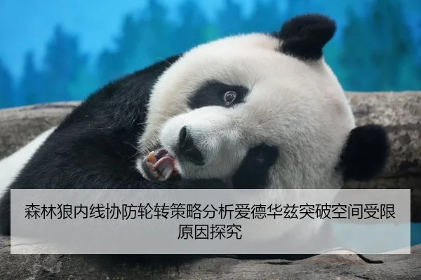 森林狼内线协防轮转策略分析爱德华兹突破空间受限原因探究